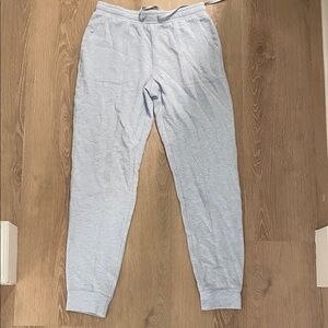 Haven Well Within Blue Joggers